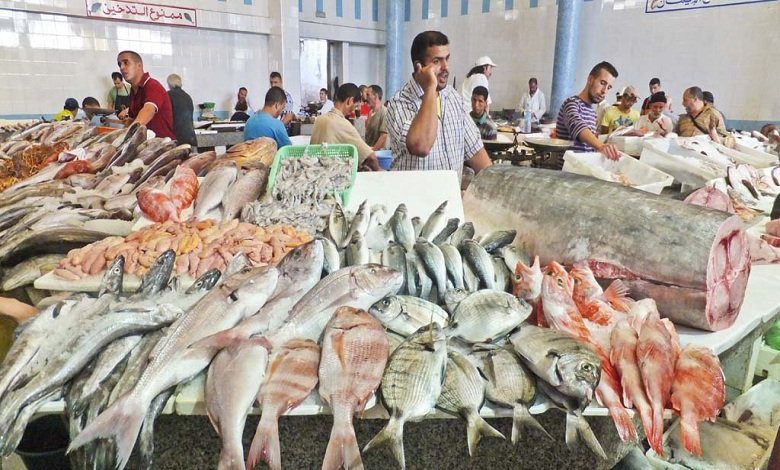 انواع السمك في قطر
