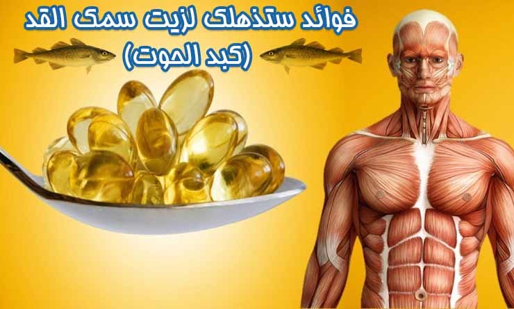 فوائد زيت كبد الحوت للجسم