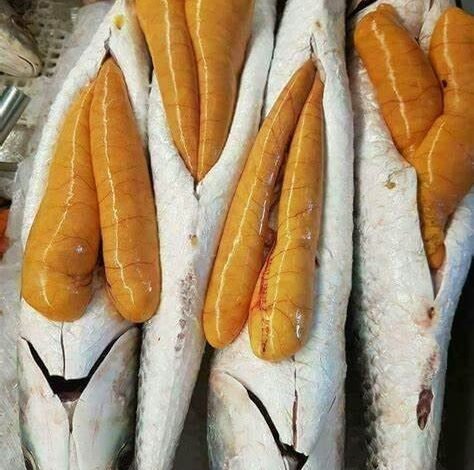فوائد بطارخ السمك